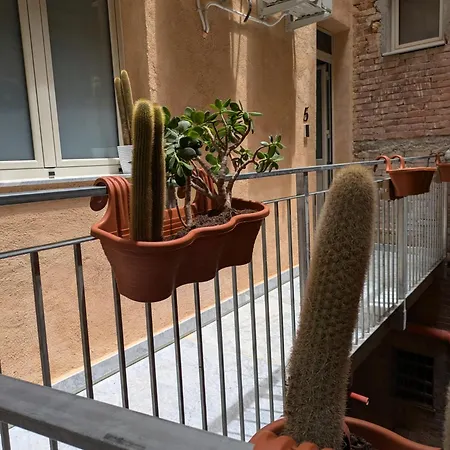 Casa Vella