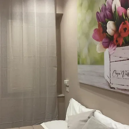 Casa Vella Guest house 3*